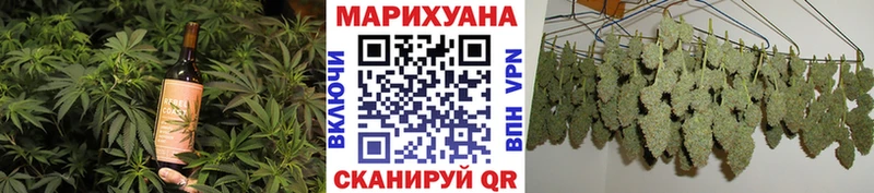 Cannafood конопля  продажа наркотиков  Новопавловск 