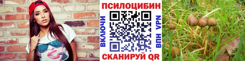 ссылка на мегу онион  Новопавловск  Галлюциногенные грибы GOLDEN TEACHER 